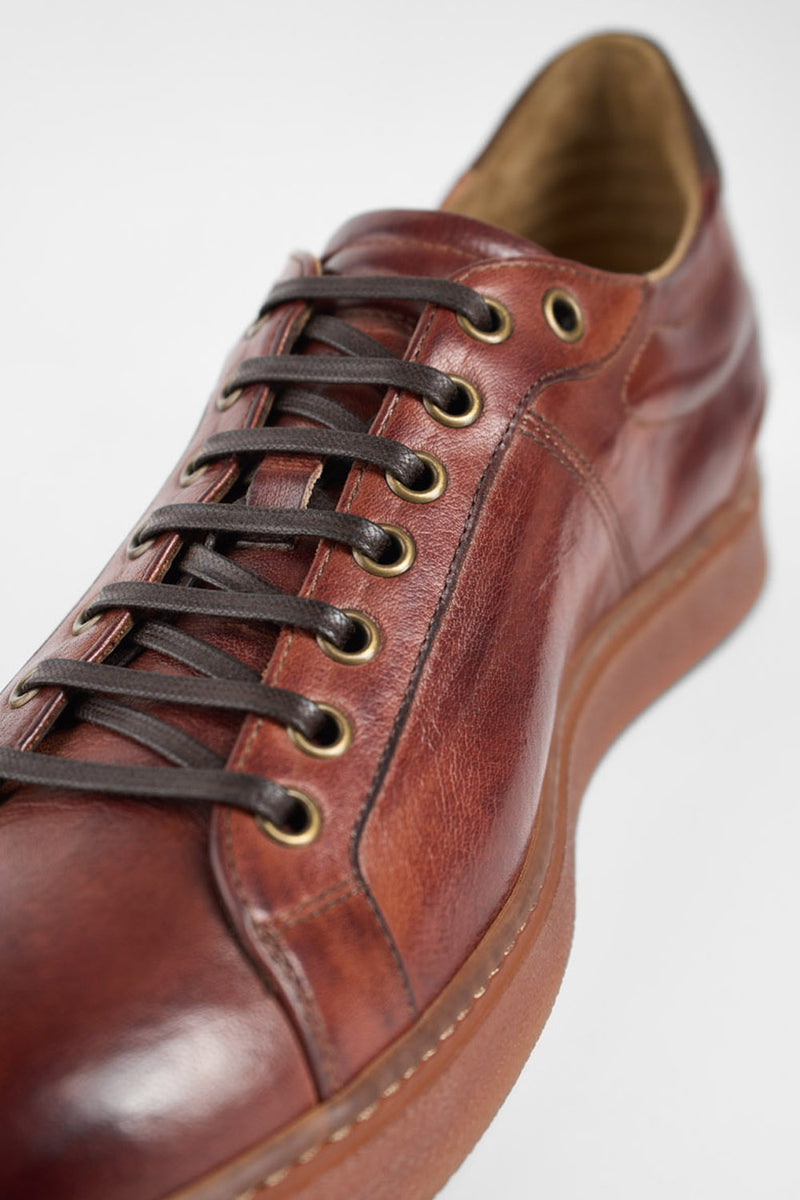 CREED cognac distressed sneakers.