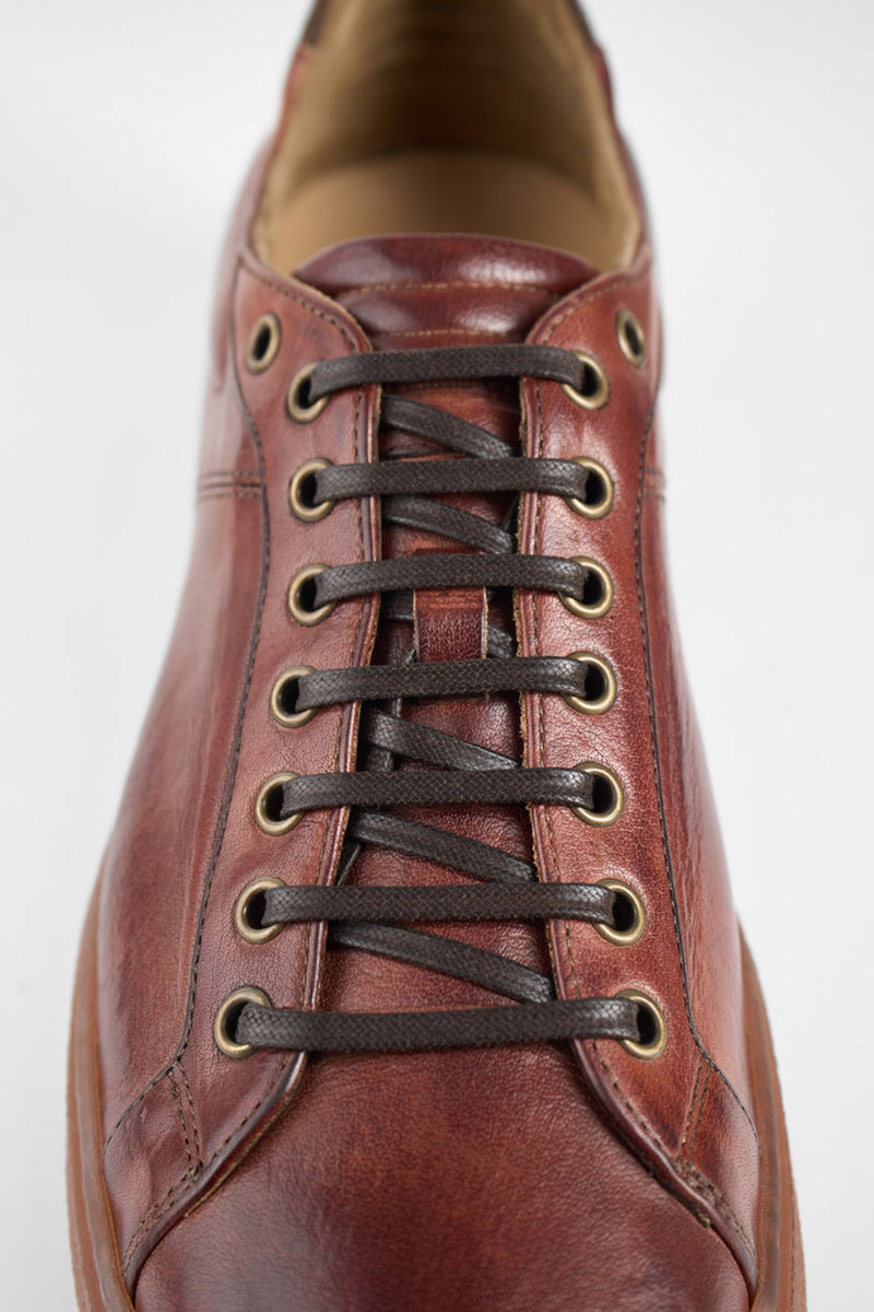 CREED cognac distressed sneakers.