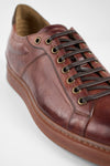 CREED cognac distressed sneakers.