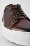 UNTAMED STREET Men Brown Calf-Leather Low Top Sneakers SOHO
